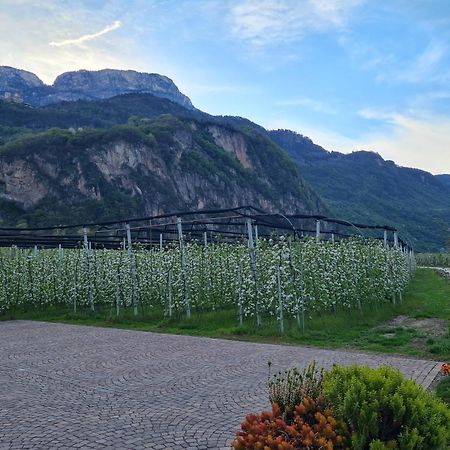 Villa Versigglhof à Appiano Sulla Strada Del Vino Extérieur photo