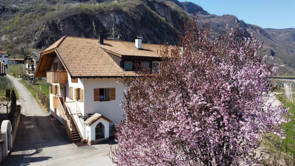 Villa Versigglhof à Appiano Sulla Strada Del Vino Extérieur photo