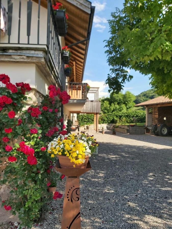 Villa Versigglhof à Appiano Sulla Strada Del Vino Extérieur photo