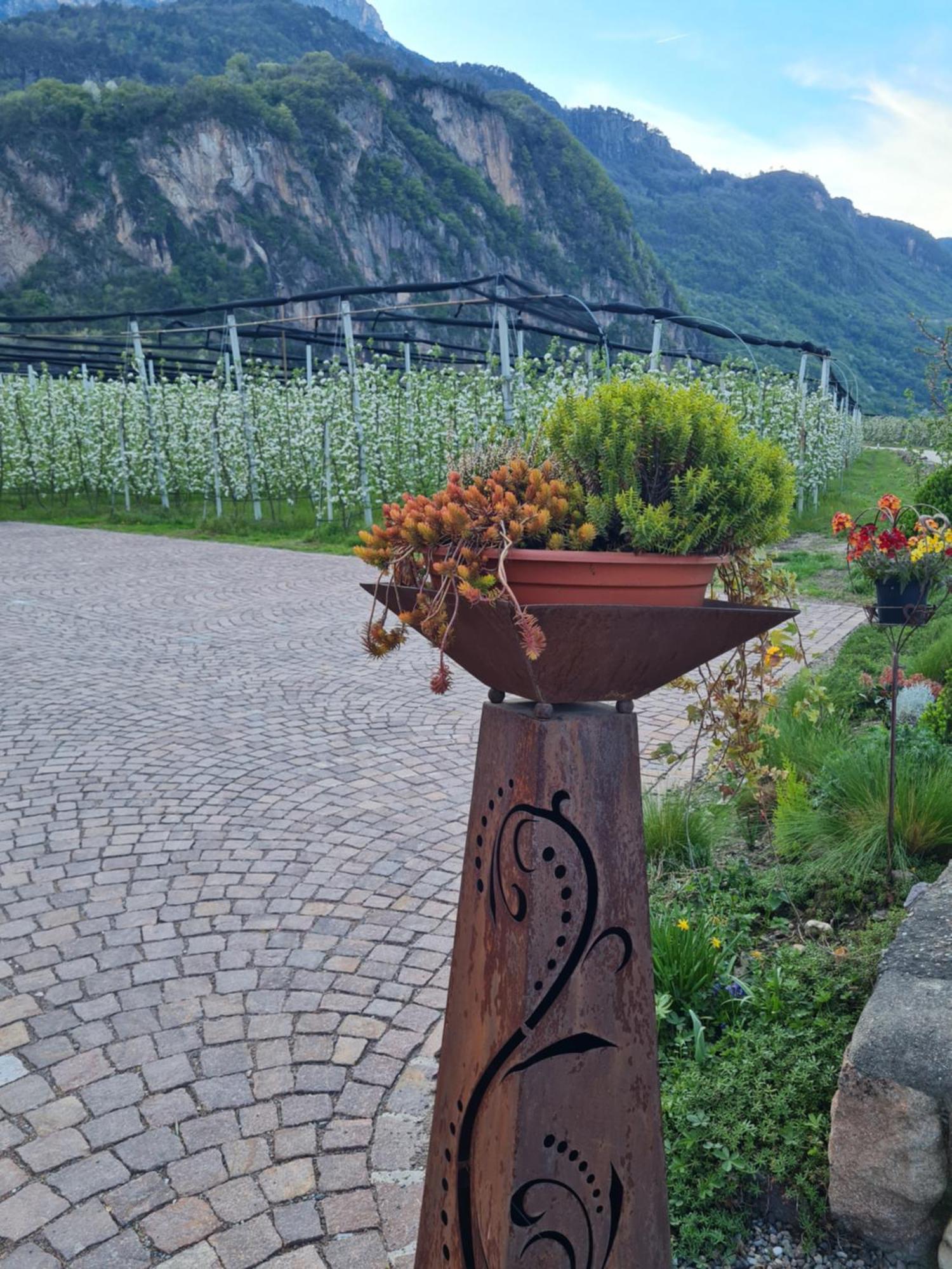 Villa Versigglhof à Appiano Sulla Strada Del Vino Extérieur photo