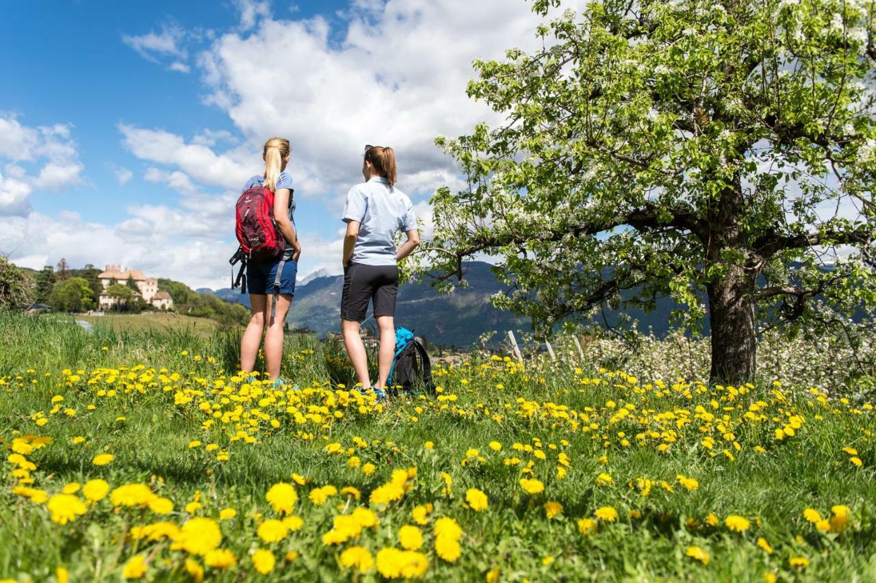 Villa Versigglhof à Appiano Sulla Strada Del Vino Extérieur photo