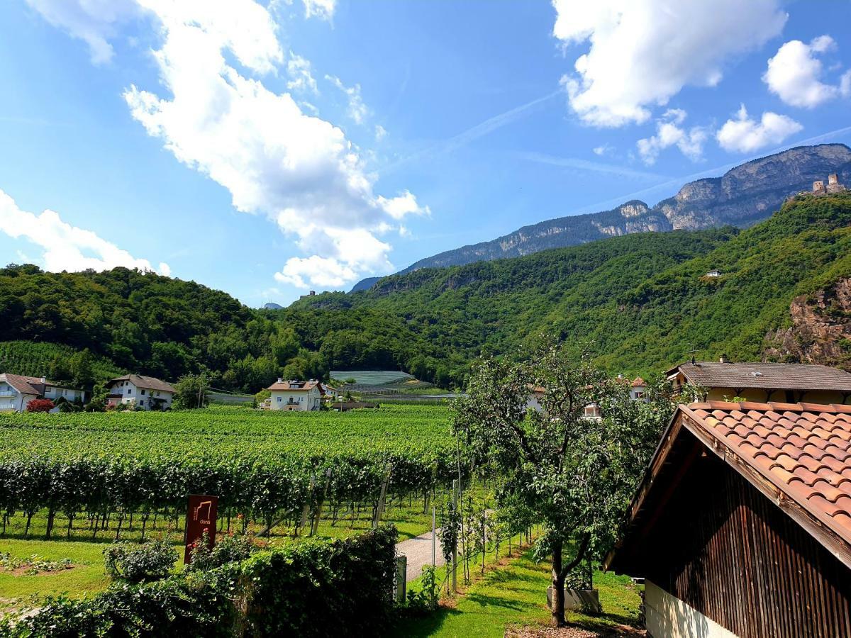 Villa Versigglhof à Appiano Sulla Strada Del Vino Extérieur photo